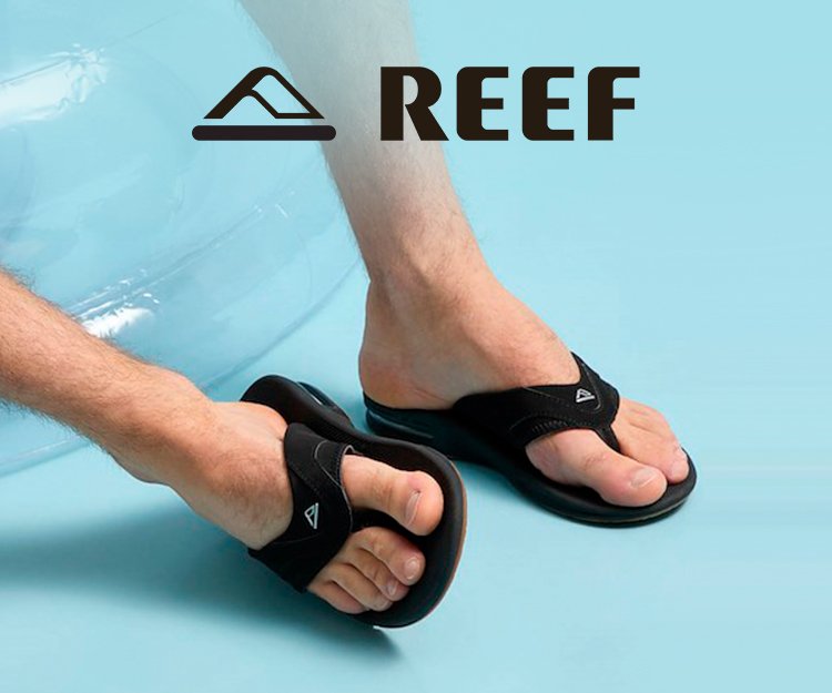 Reef - Novidades!