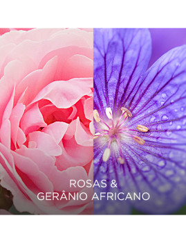 imagem de Airwick Botanica Aerosol Rosas&Gerânio Africano5