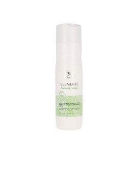 imagem de Champô Renovador Elements 250Ml1