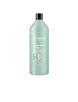imagem de Champô Amino Mint 1000 Ml1