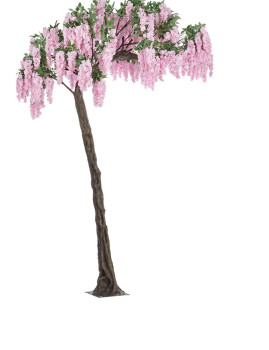 imagem de Planta Glycine Tree Rosa H3201