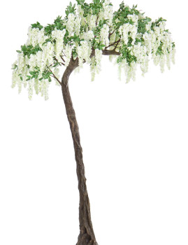 imagem de Planta Glycine Tree Branco H3201