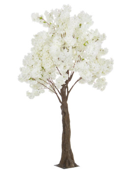 imagem grande de Planta Begonia Tree Branco H240 S1