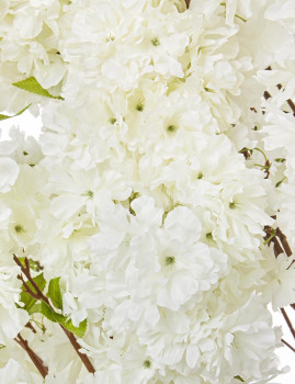 imagem de Planta Begonia Tree Branco H240 S2