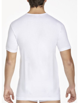 imagem de T-Shirt Pierre Cardin Homem Branco2