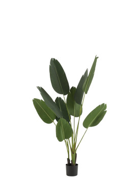 imagem de Planta Strelitzia Artificial Verde Pequeno1