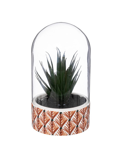 imagem de Planta Cloche Ali Altura 21Cm2