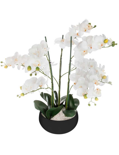 imagem de Vaso De Orquídea Cerâmico Preto H651