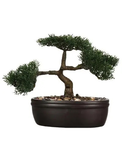 imagem de Bonsai Artificial Em Vaso De Cerâmica Altura 23 Instinto Natural3