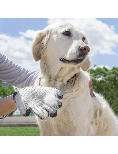 imagem de Luva para Escovar e Massajar Animais de Estimação Relpet InnovaGoods1