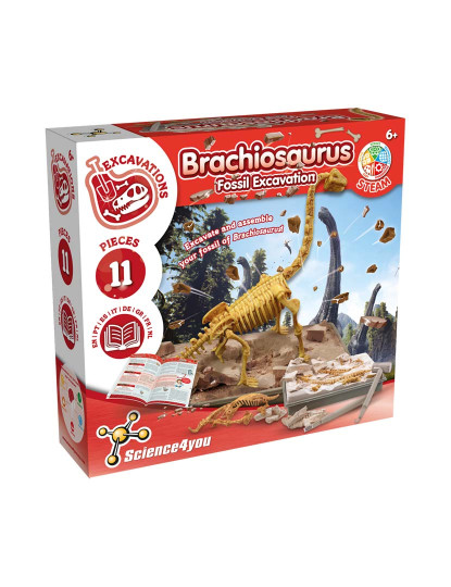 imagem de Escavações Fósseis - Brachiosaurus1