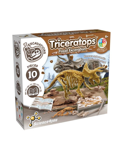 imagem de Escavações Fósseis - Triceratops1