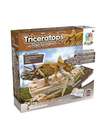 imagem de Escavações Fósseis - Triceratops2