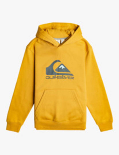 imagem de Pullover Rapaz Big Logo Youth Amarelo1