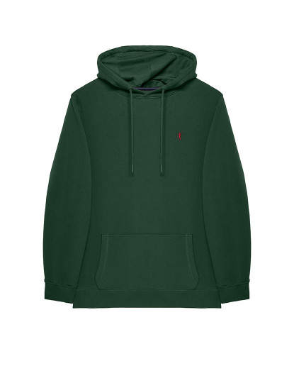 imagem de Hoodie Homem Rigby Go B Fl Il Verde Garrafa6