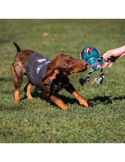 imagem de Casaco para Cão Star Wars Cinzento XXS3