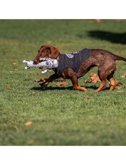 imagem de Casaco para Cão Star Wars Cinzento XS6