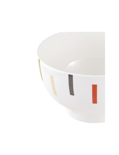 imagem de Conjunto de 4 tigelas de 650ml de porcelana safari nova bone china4