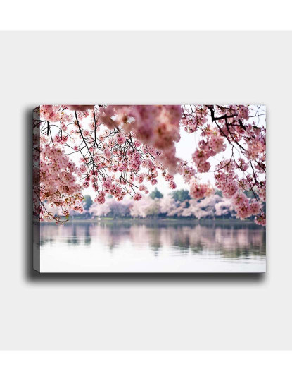 imagem de Pintura Decorativa Tela Multicor2