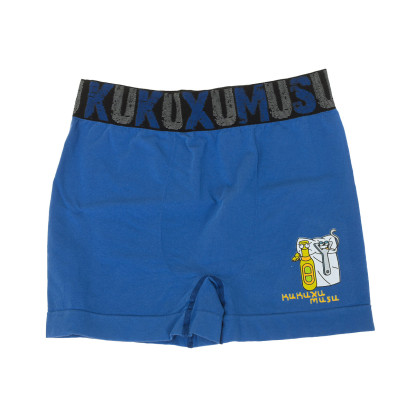 imagem de Boxers de Rapaz Azul4