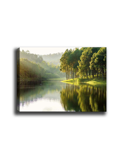 imagem de Pintura Decorativa Tela Multicor2