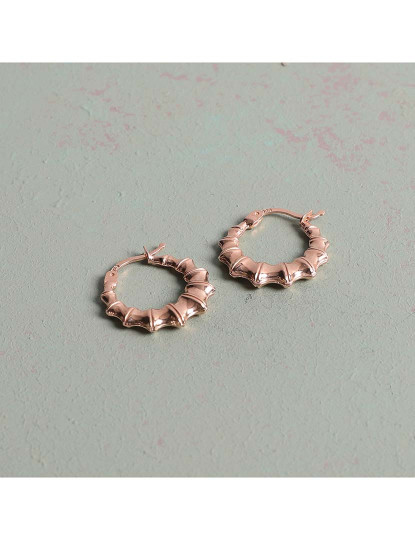 imagem de Brincos Rosa Dourado1