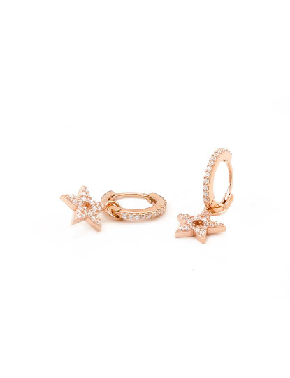 imagem de Brincos Rosa Dourado3