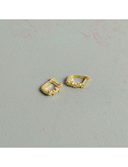 imagem de Brincos Dourado1