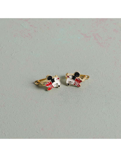 imagem de Brincos Dourado, Vermelho e Preto1