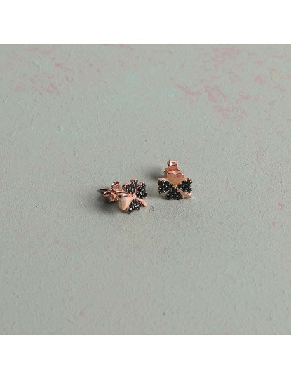 imagem de Brincos Rosa Dourado e Preto1