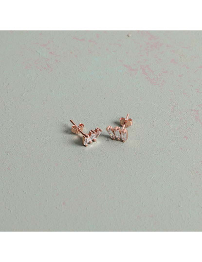 imagem de Brincos Rosa Dourado1