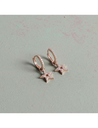 imagem de Brincos Rosa Dourado1
