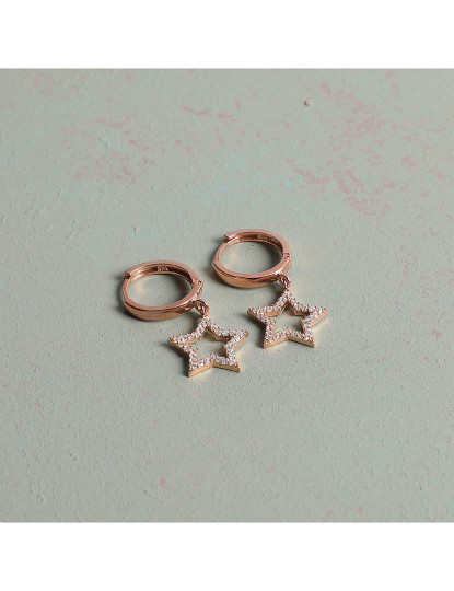 imagem de Brincos Rosa Dourado1