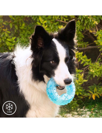 imagem de Brinquedo congelável para roer para animais de estimação 2 em 1 Glubiz InnovaGoods1