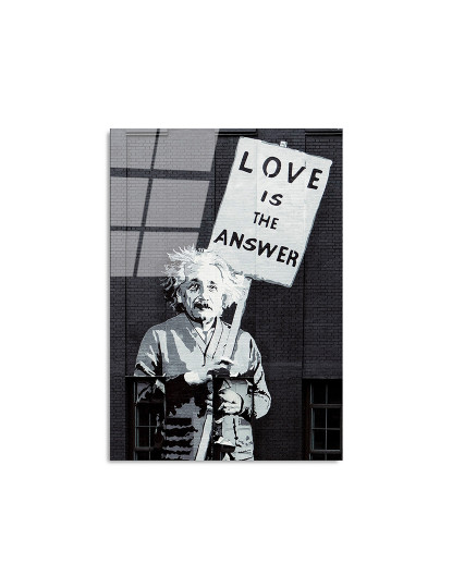 imagem de Tela Vidro Temperado Bansky - Einstein Love is Response5