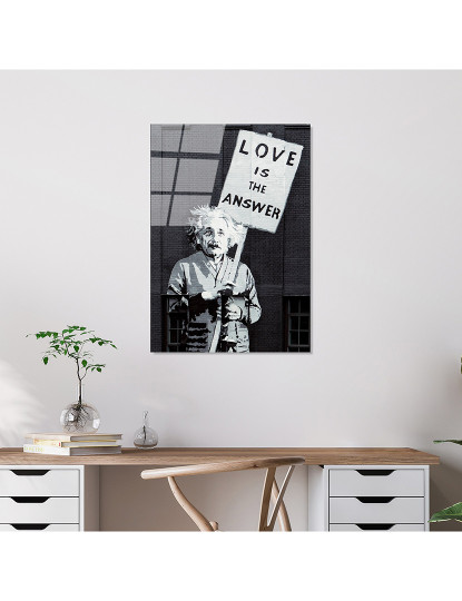 imagem de Tela Vidro Temperado Bansky - Einstein Love is Response2