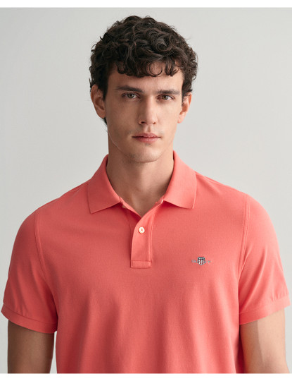 imagem de Polo Regular Fit de Homem4