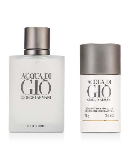 imagem de Acqua Di Gio Homme Et 100 ml + Deo Stick 75 Ml1