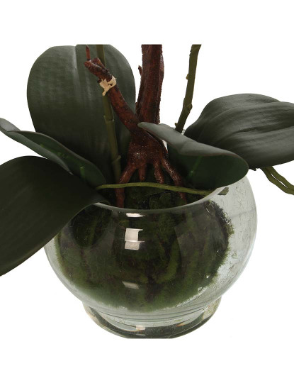 imagem de Vaso C Orquideas Rosa Branco3