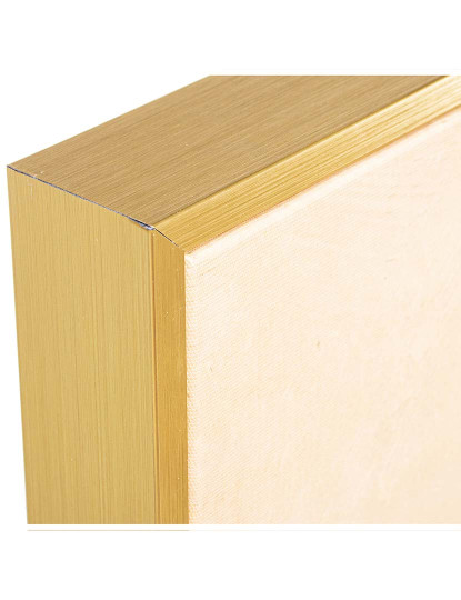imagem de Quadro Tela Impresso Dourado5