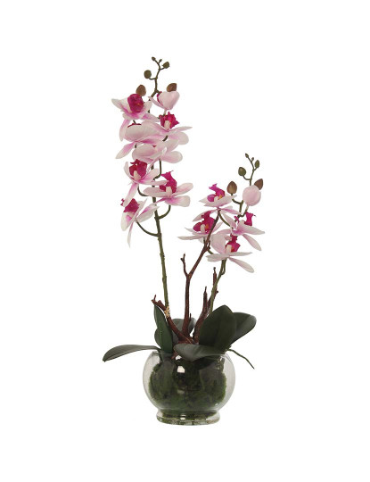 imagem de Vaso C Orquideas Rosa Branco1