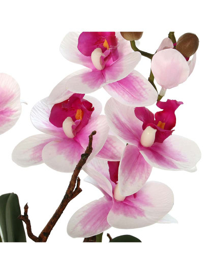 imagem de Vaso C Orquideas Rosa Branco2