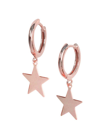imagem de Brincos Senhora Rosa Dourado1