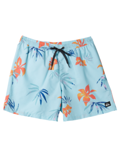 imagem de Boardshorts de Rapaz Azul2