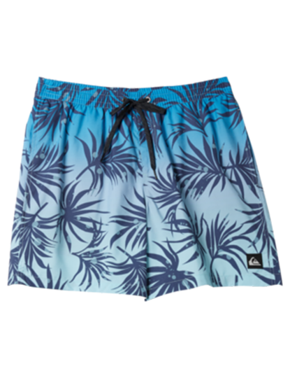 imagem de Boardshorts de Rapaz Azul2