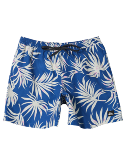 imagem de Boardshorts de Rapaz Azul2