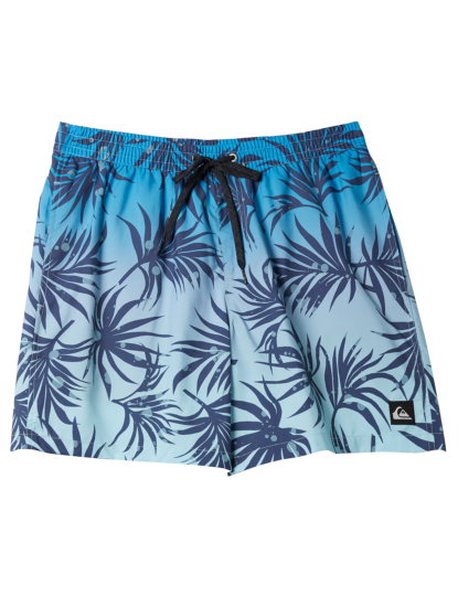 imagem de Boardshorts de Rapaz Azul1