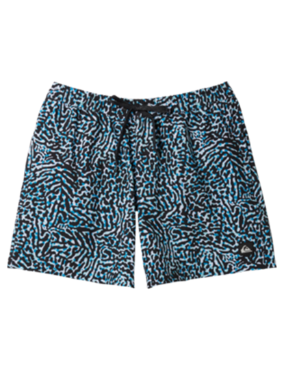 imagem de Boardshorts de Rapaz Azul2