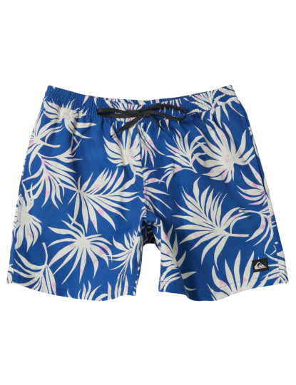 imagem de Boardshorts de Rapaz Azul1