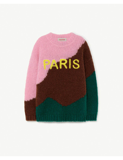 imagem de City Bull Kids+ Sweater Verde Paris1